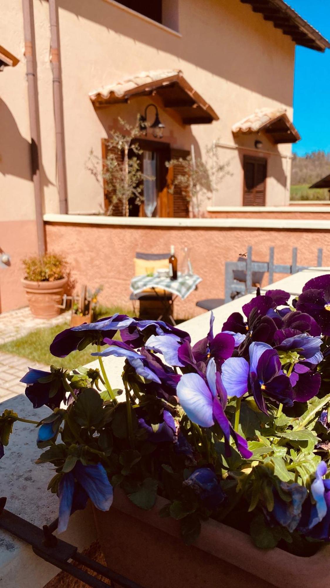 Selvicolle Country House Crispiero Exterior foto